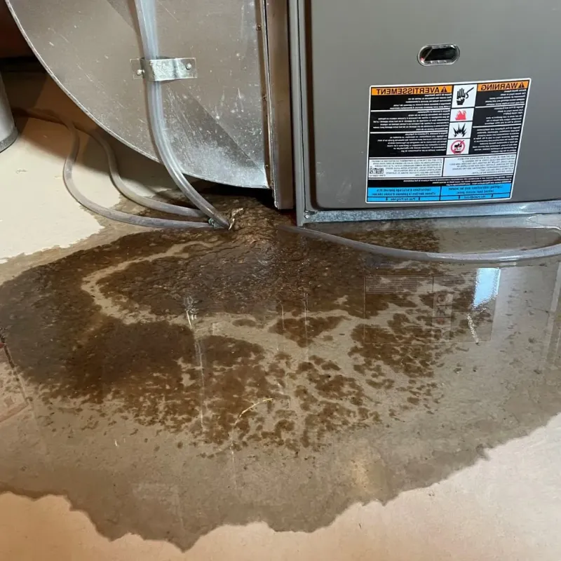 Pipe Burst and Leak Restoration in Breathitt County, KY
