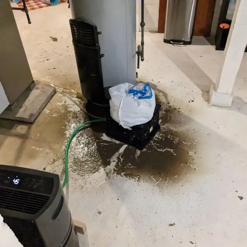 Sewage Backup Cleanup Service in Breathitt County, KY